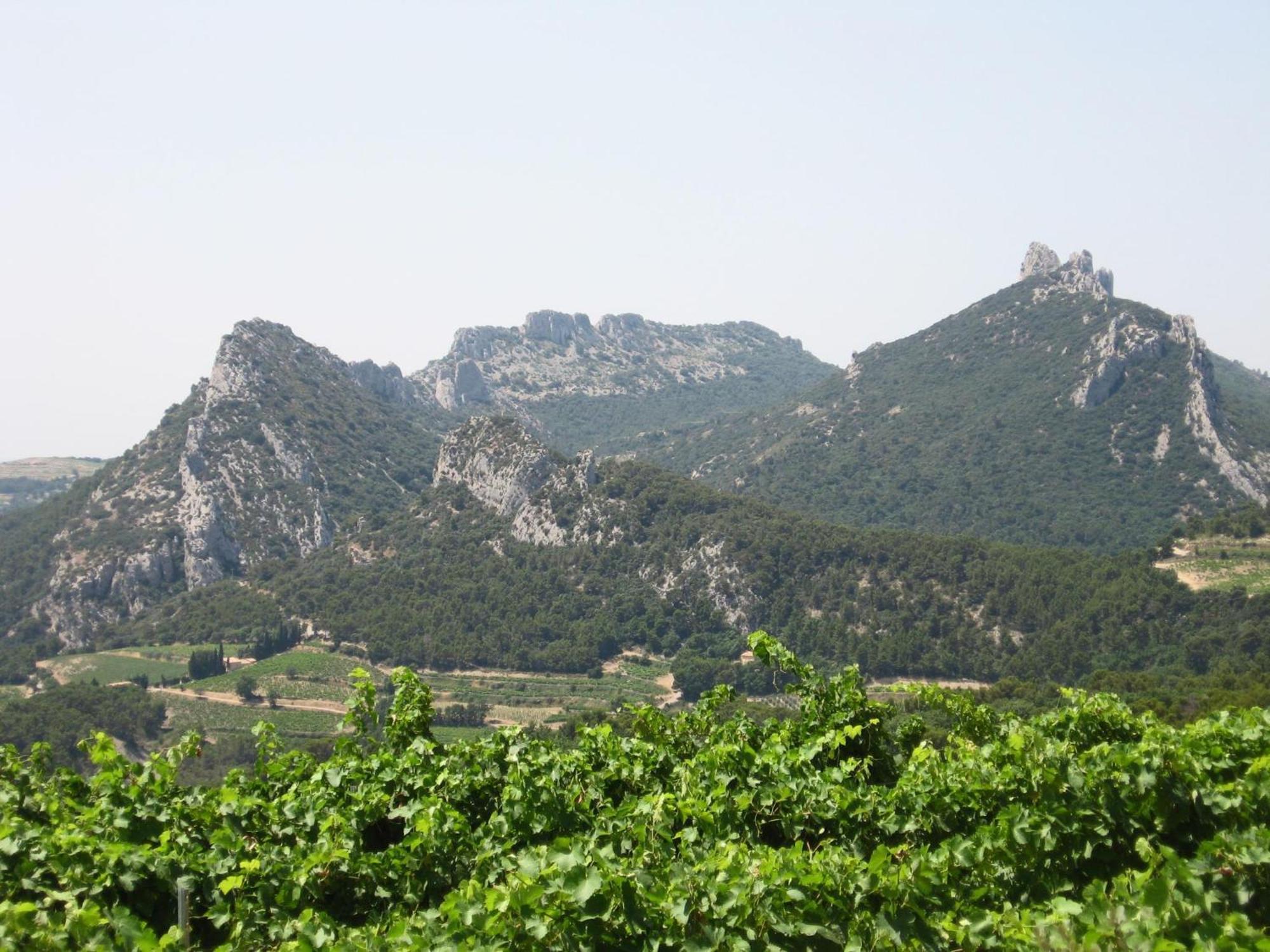 Tauleigne Βίλα Bollène Εξωτερικό φωτογραφία