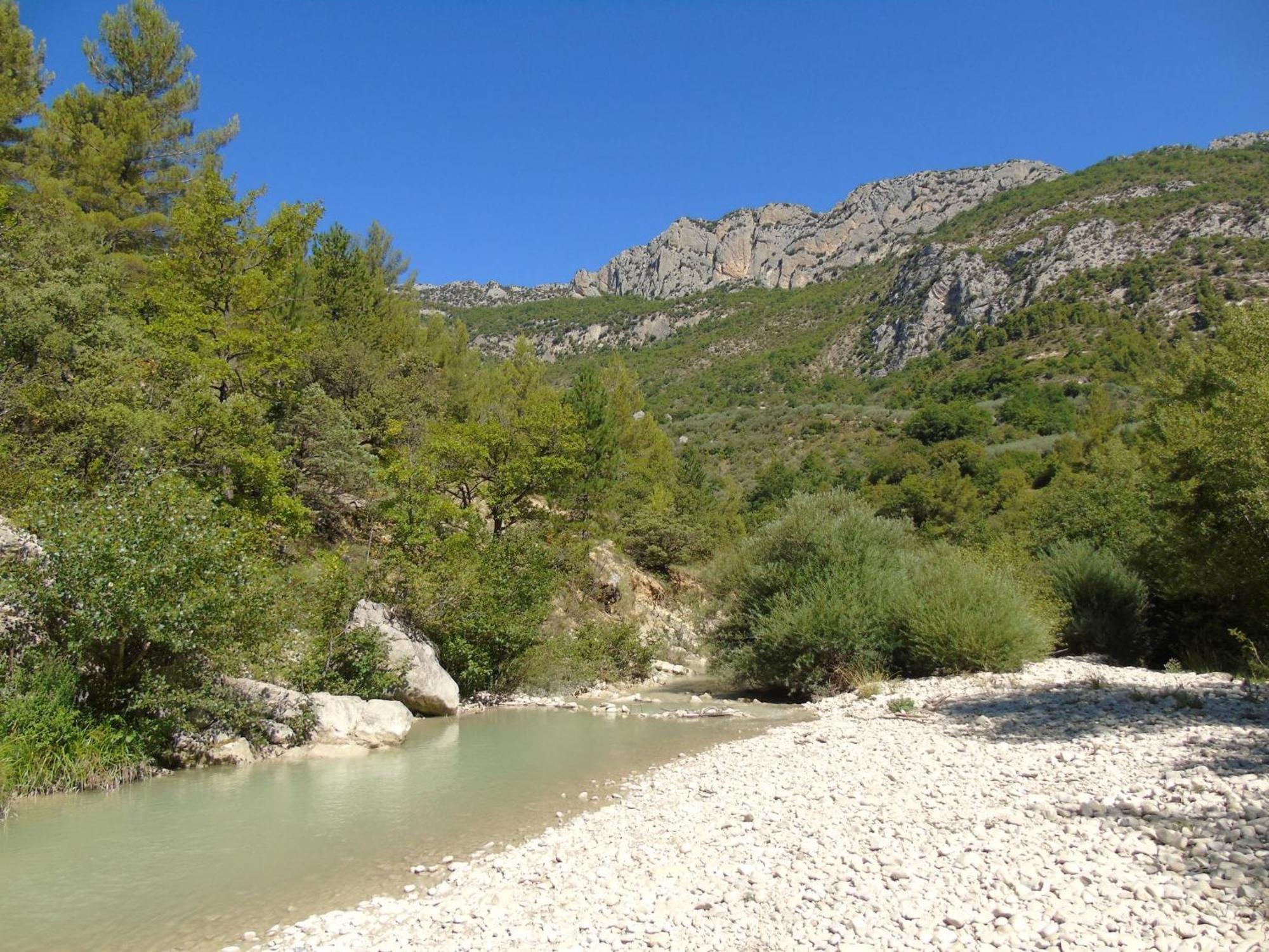 Tauleigne Βίλα Bollène Εξωτερικό φωτογραφία
